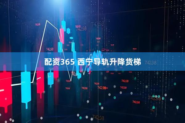配资365 西宁导轨升降货梯